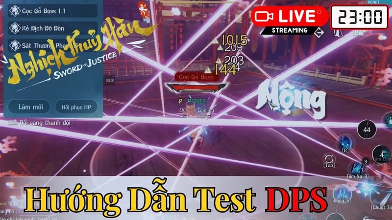 Nghịch Thủy Hàn — Cách kiểm tra DPS chính xác 100% (PCNET)